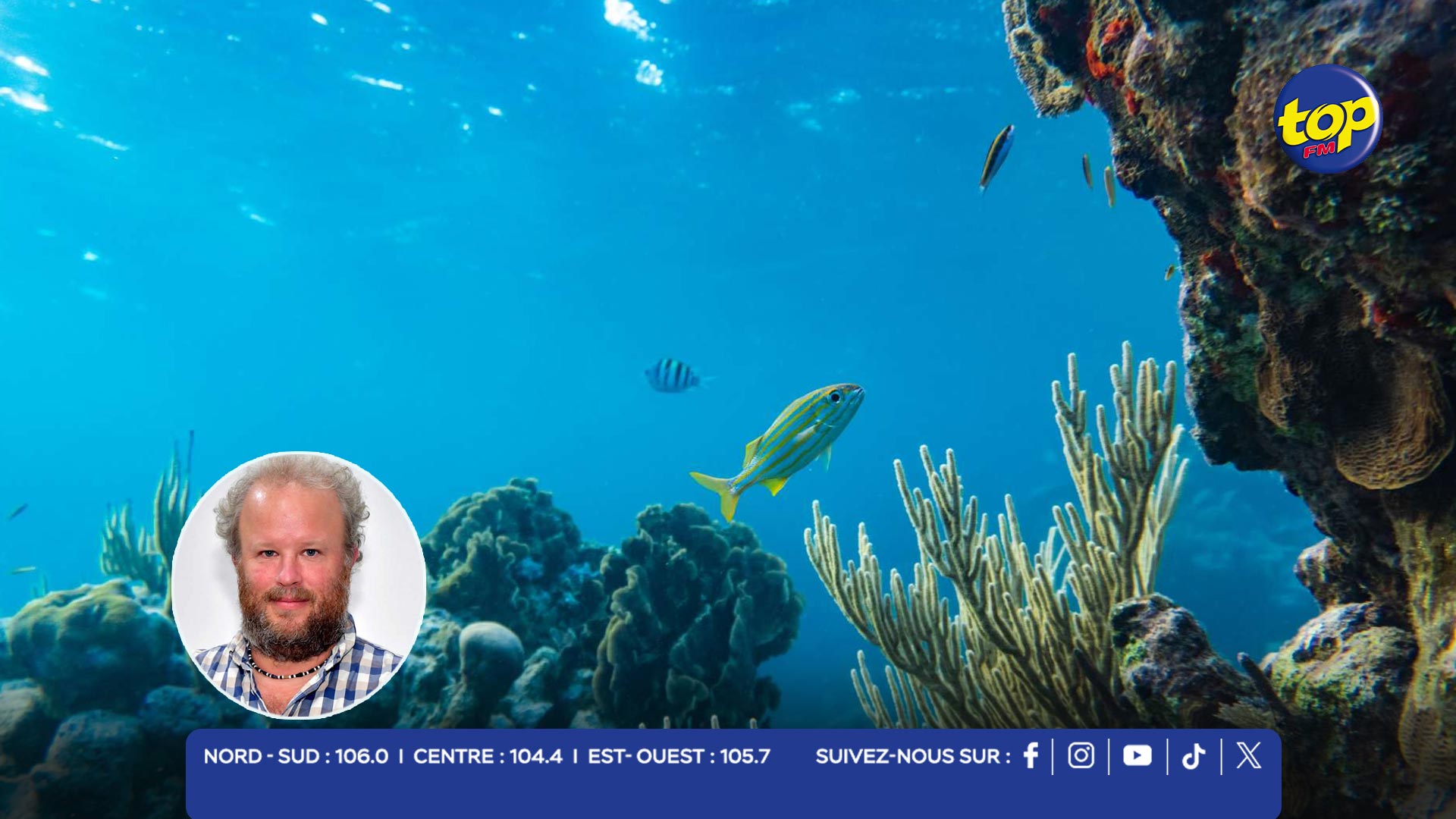 Écosystèmes marins