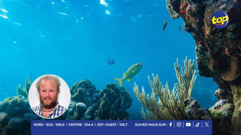 Écosystèmes marins