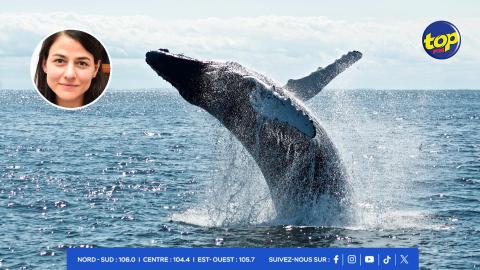 Activités-nautiques