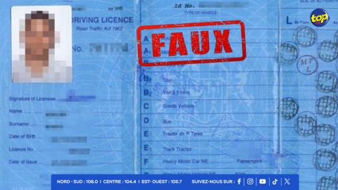 Faux permis de conduire