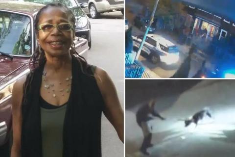 Etats-Unis : une femme âgée de 73 ans mutilée à mort par son propre pit-bull