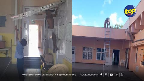 Shelter L’Oiseau du Paradis