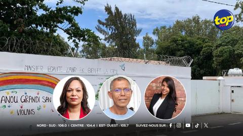 Shelter Oiseau du Paradis