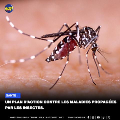 𝗦𝗮𝗻𝘁𝗲́  :