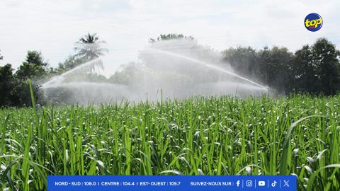 irrigation de la canne à-sucre